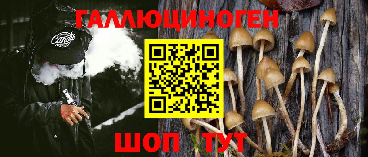 Псилоцибиновые грибы Psilocybine cubensis Когалым