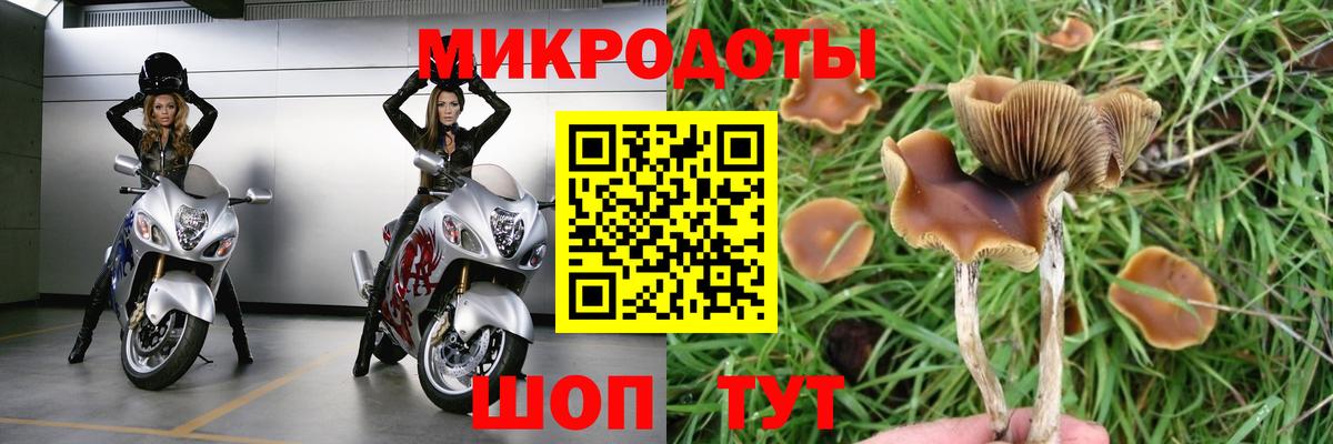 Галлюциногенные грибы мицелий  Псилоцибиновые грибы ЛСД  Когалым  Вход с VPN 